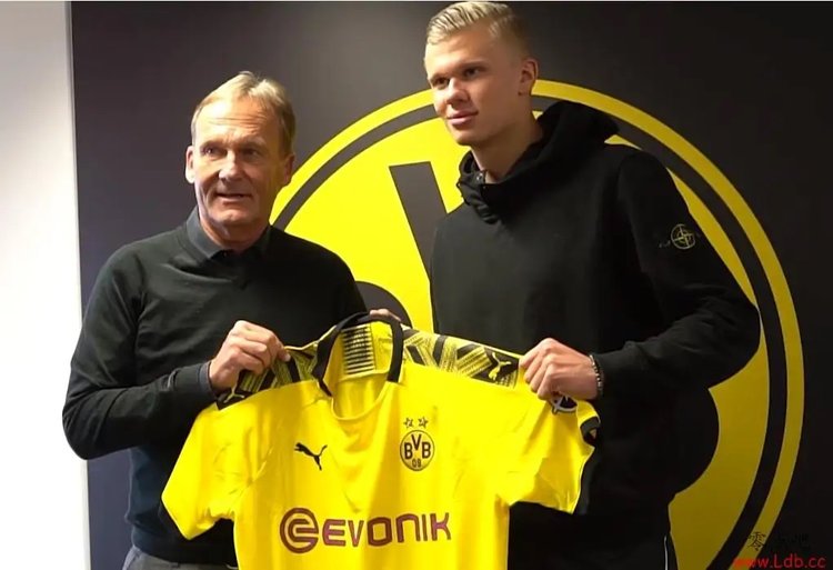 胜北京采访！邱彪直指锻炼价值达，鲍威尔赞高诗岩+喊话战旧主！